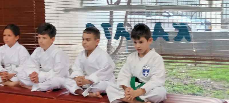 karate2